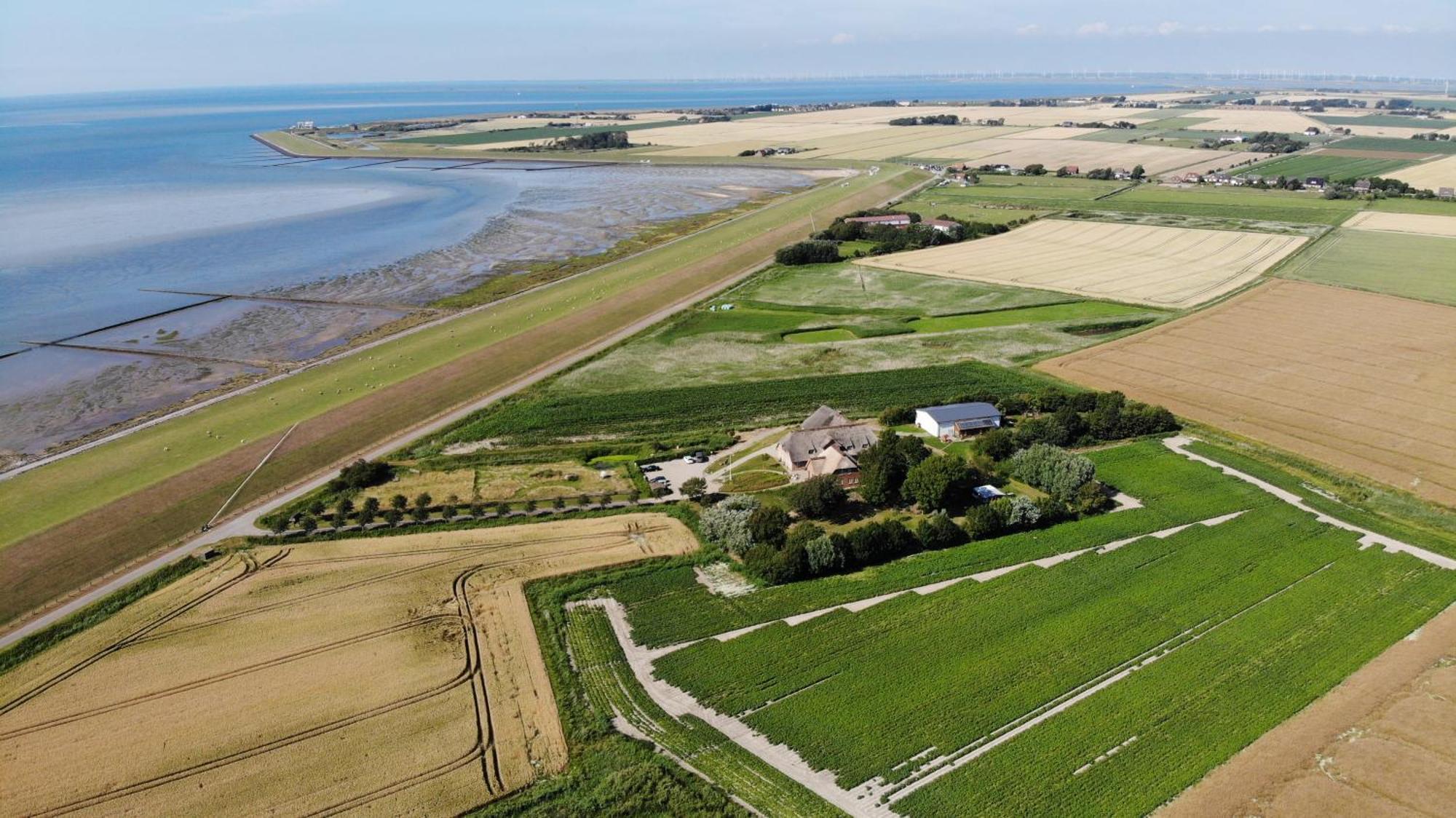 Graefinhof Lägenhet Nordstrand Exteriör bild